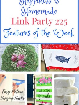 Happiness is Homemade Link Party